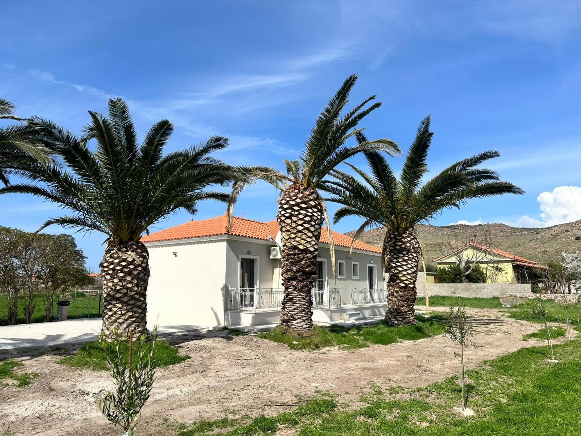 פטרה Ktimavita Apartment 1 מראה חיצוני תמונה