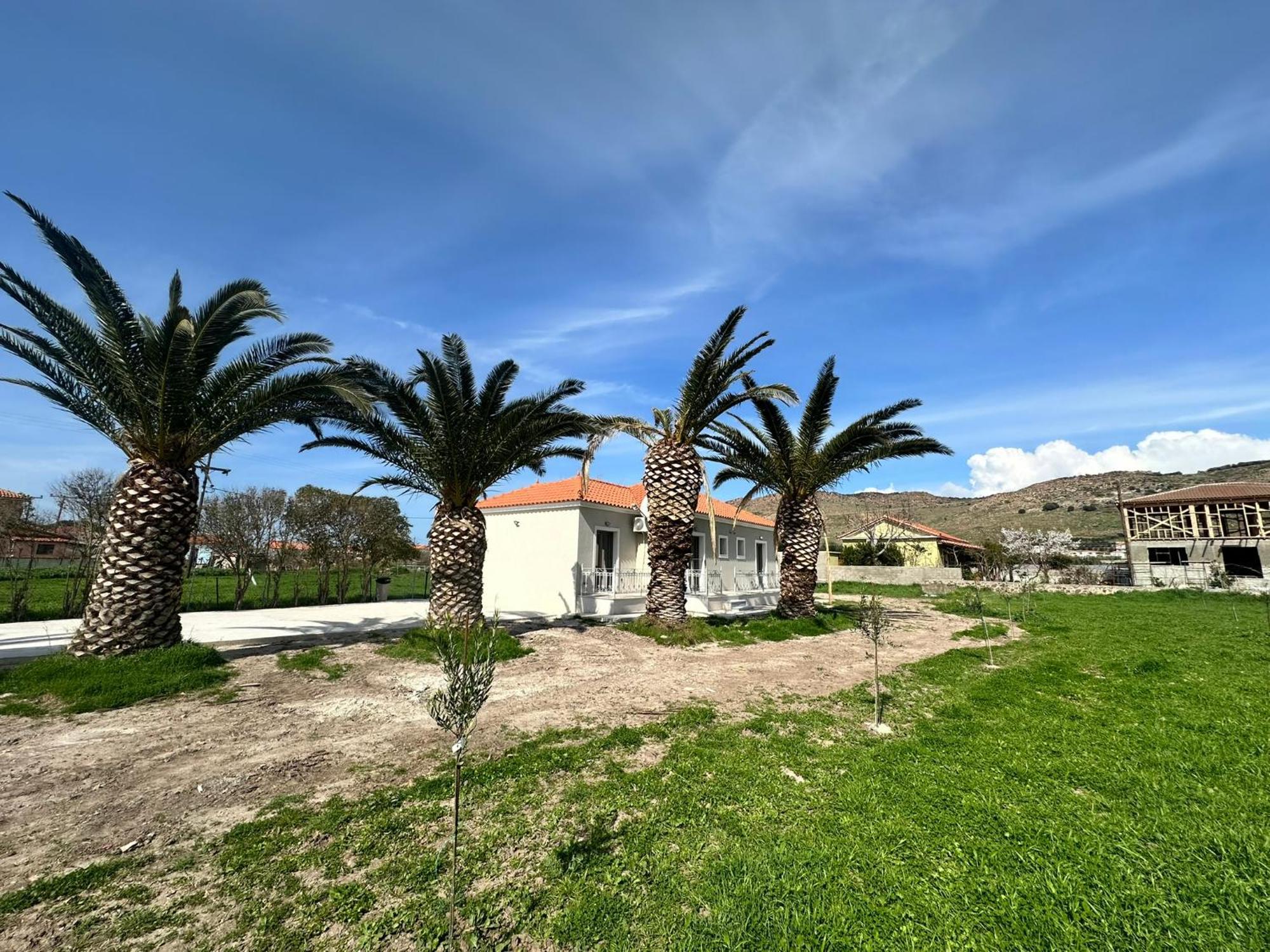 פטרה Ktimavita Apartment 1 מראה חיצוני תמונה